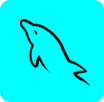 MySQL server
