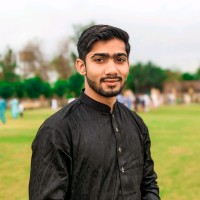 Amir Shabbir - Developer (React.js)